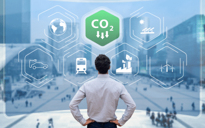 Carbon Footprint: How Are Data Centers Cutting Carbon Emissions?