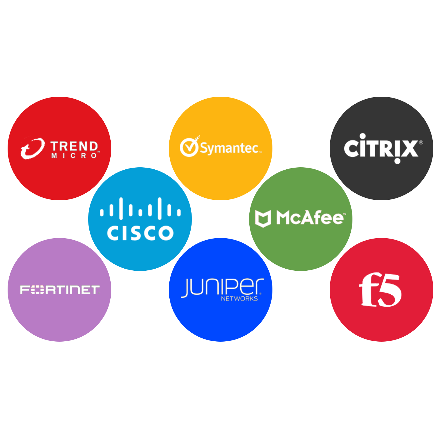 G3 suite